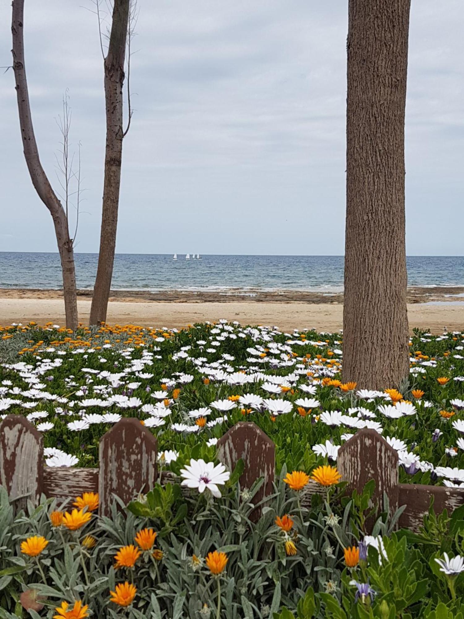Holiday Apartment With Sea View Paralimni Dış mekan fotoğraf